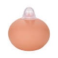 Mini inverted nipple corrector